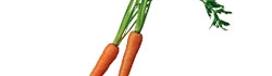 fra3_photo05.jpg