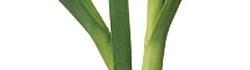 fra3_photo10.jpg