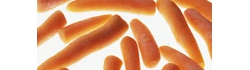 vtp1_photo04.jpg