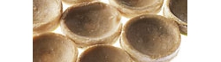 vtp1_photo10.jpg
