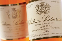 763462_frankrig_bordeaux_sauternes_suduiraut.jpg