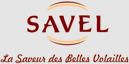 SAVEL TF