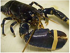 image001.jpg