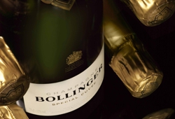 BollingerSC.jpg