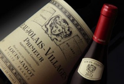 Y275___X400___1___11_A_Beaujolais_Primeur11-300x206.jpg