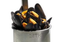 conseil02.jpg