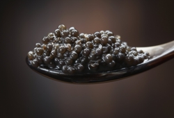 Food_Seafood_Spoon_caviar_022341_.jpg
