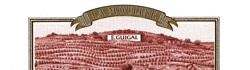 cote_rotie_cote_blonde_la_mouline.jpeg